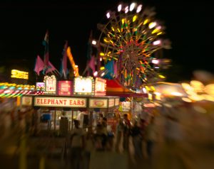 Libby's Elephant Ears by photographer Thomas Kachadurian